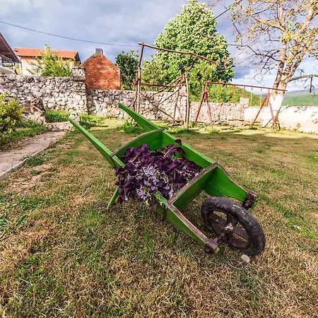 Dreams Lohovo Bihac